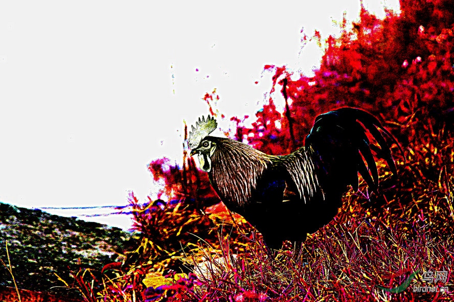 BW6I0905_����_����1_����1_����.jpg