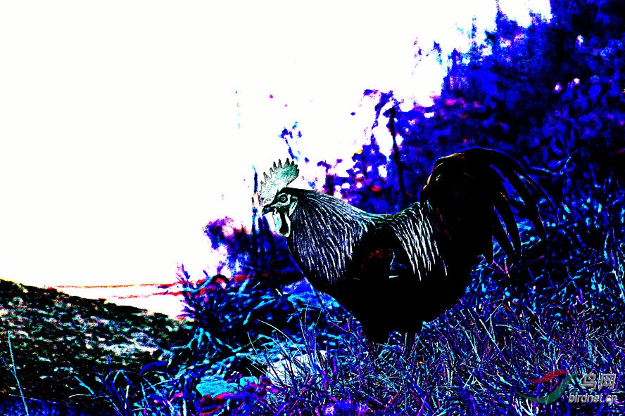 BW6I0905_����_����1_����.jpg