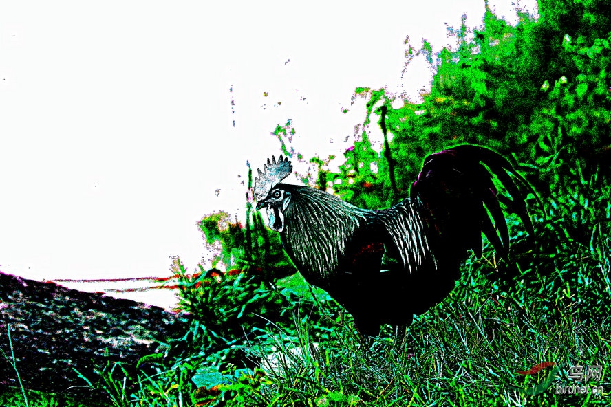 BW6I0905_����_����1_����1_����1_����1_����.jpg