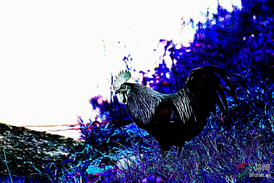 BW6I0905_����_����1_����1_����1_����.jpg