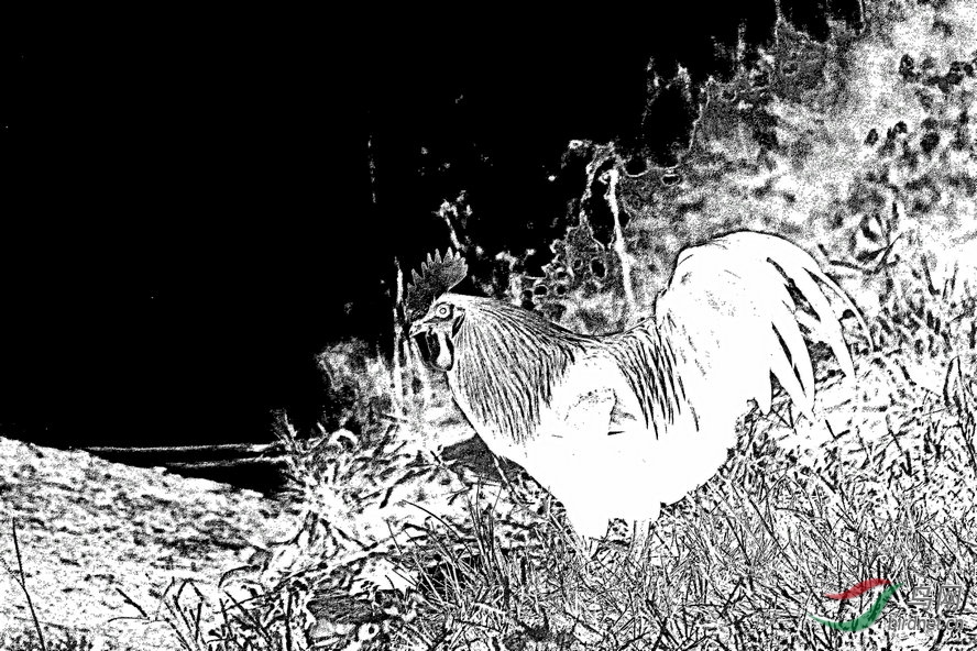 BW6I0905_����_����1_����1_����1_����1_����1_����1_����.jpg