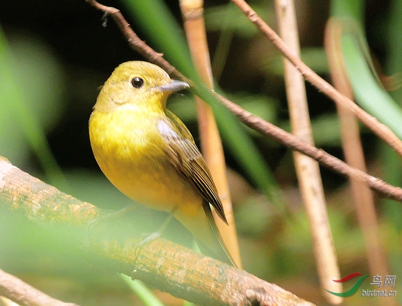 P2380241 - ����.JPG