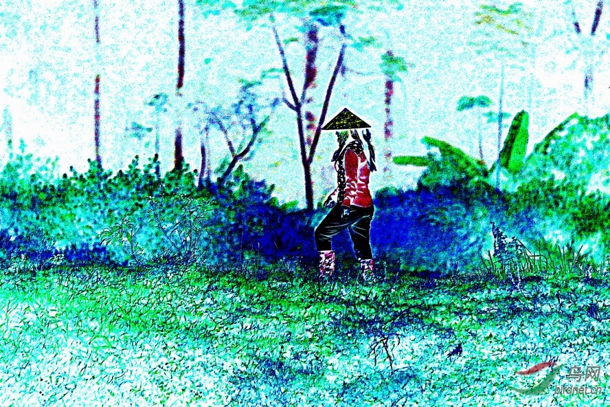 BW6I0918_����_����1_����2_����1_����.jpg