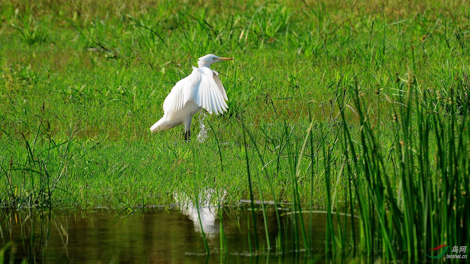 DSC_7119.JPG