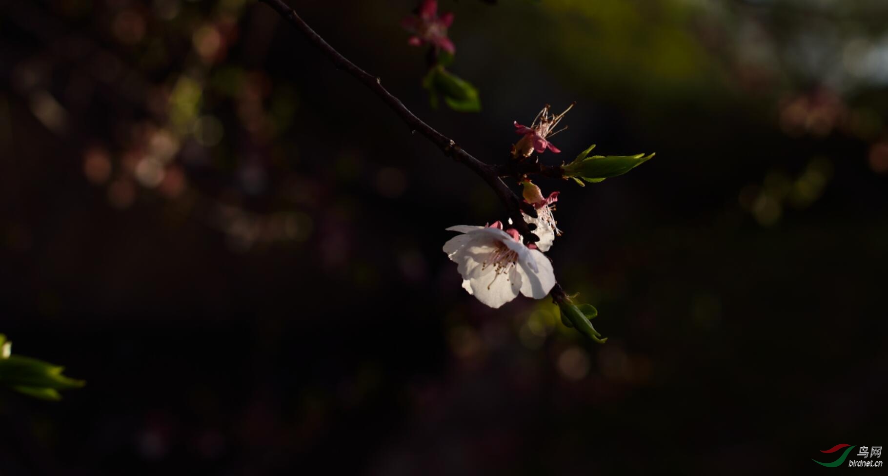 QQͼƬ20190507153440.jpg
