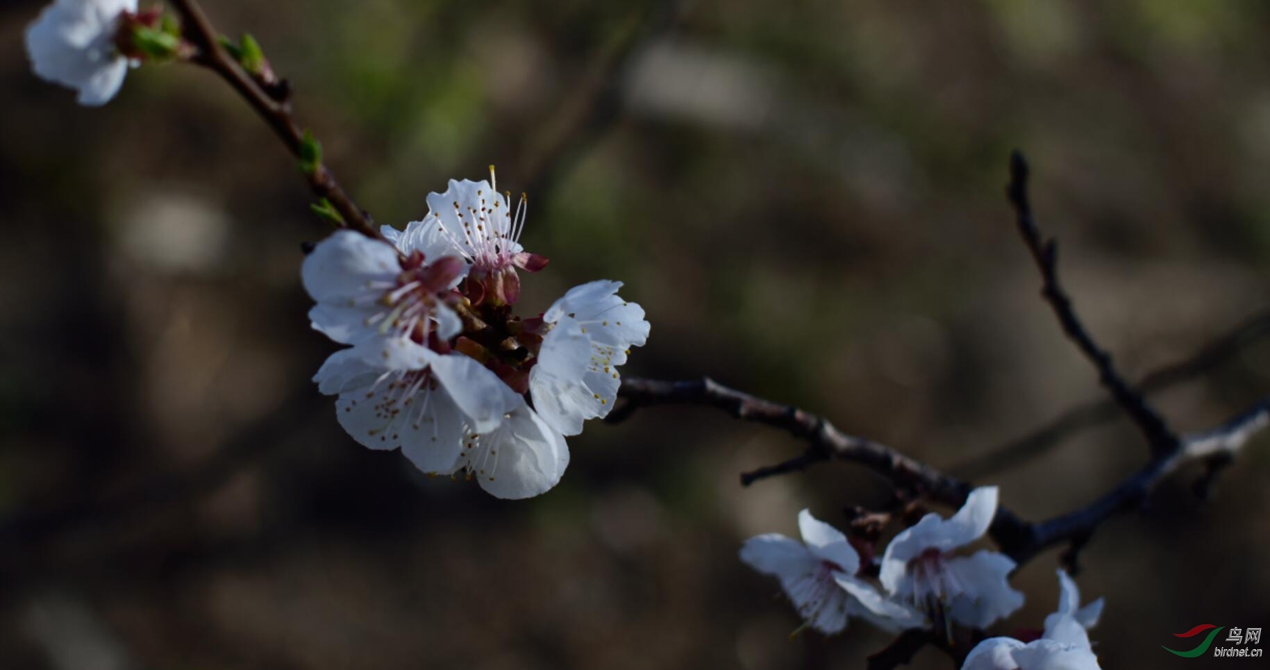 QQͼƬ20190507153239.jpg