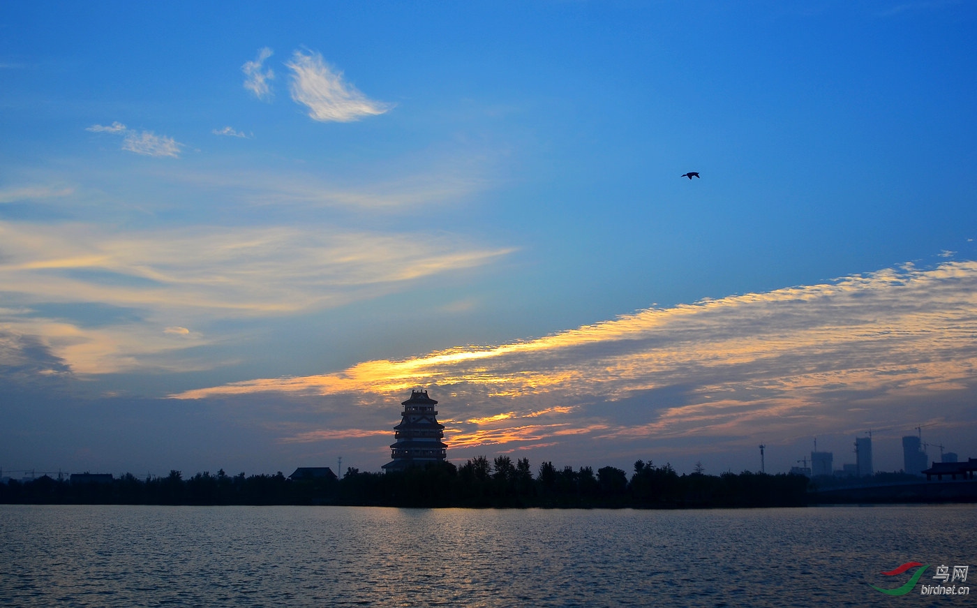 DSC_8809.JPG