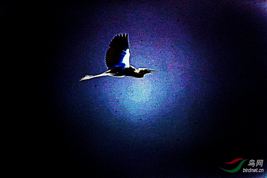 BW6I1109_����_����1_����2_����1_����.jpg
