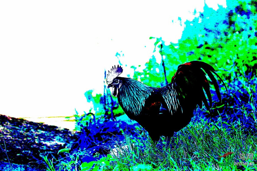 BW6I0906_����_����1_����1_����.jpg