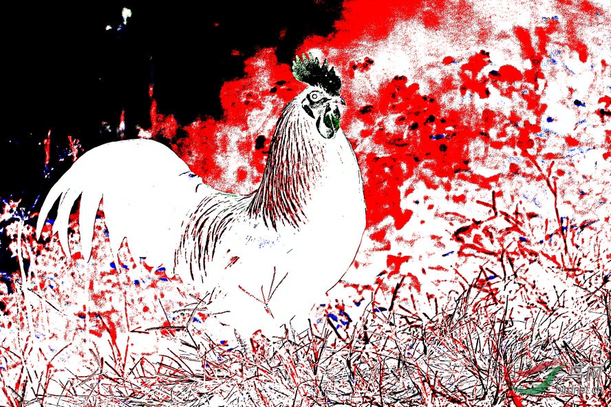 BW6I0917_����_����1_����1_����1_����.jpg