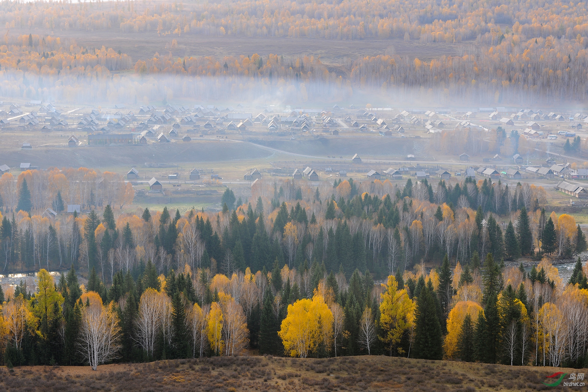 DSC_1685-1.jpg