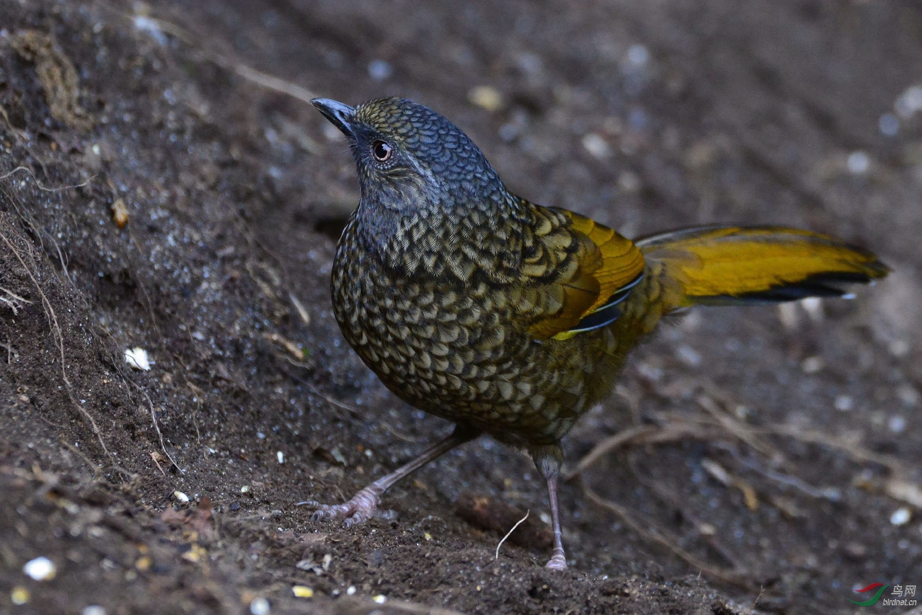 DSC_3627.JPG