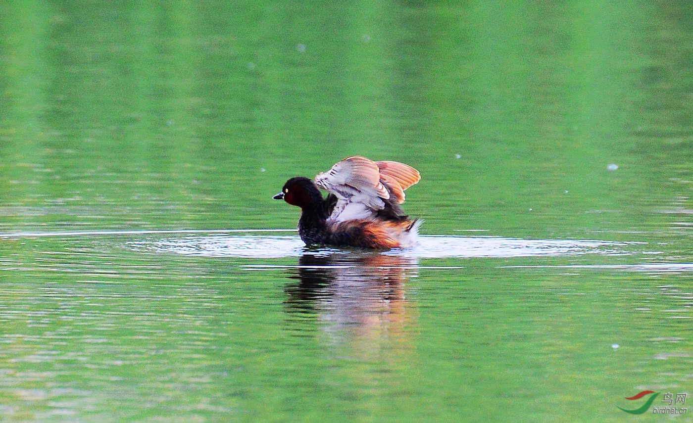DSC_7274.JPG