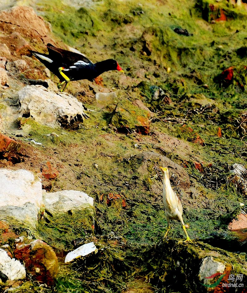 DSC_6318.JPG
