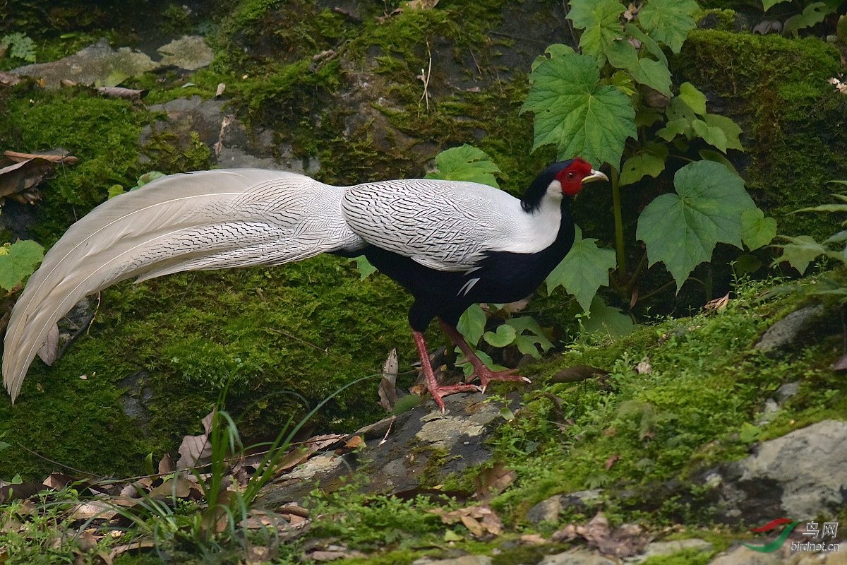 D72_2031.jpg