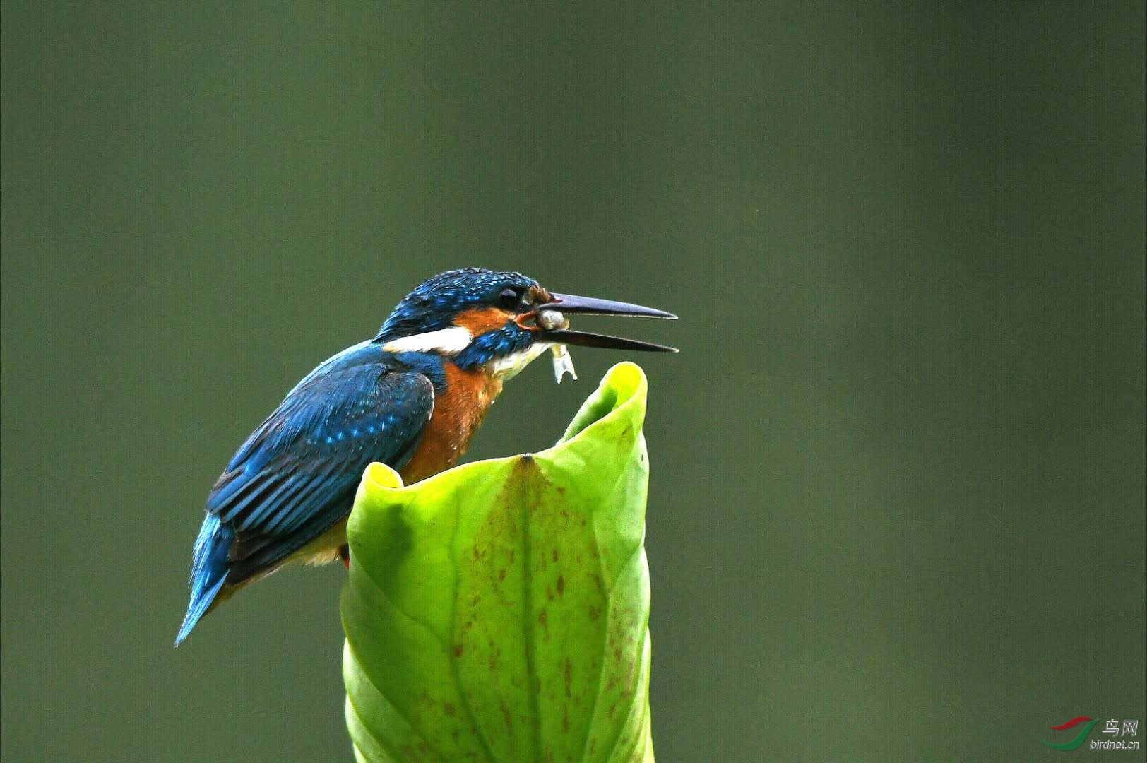 ΢��ͼƬ_201905090914541.jpg