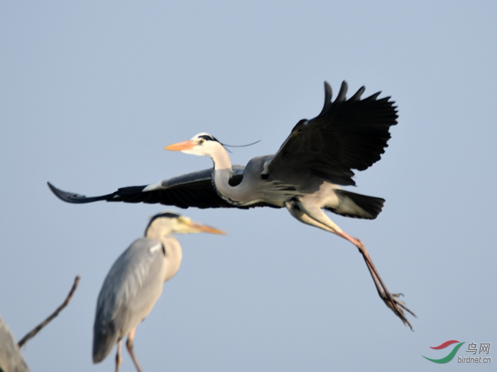 D50_9672.jpg