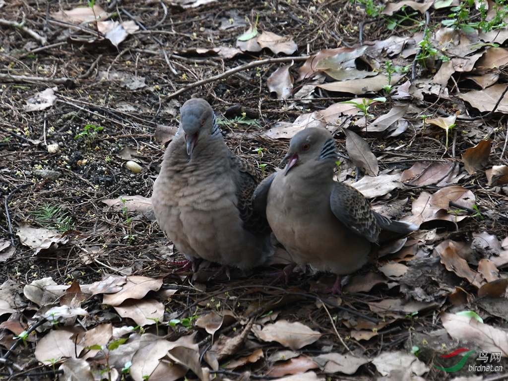 D50_0289.jpg