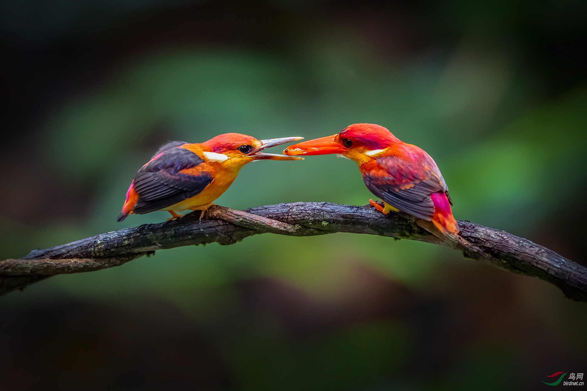 ���� (1).jpg