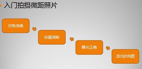 593dc576e4b82f500bb795a54fb200a.jpg