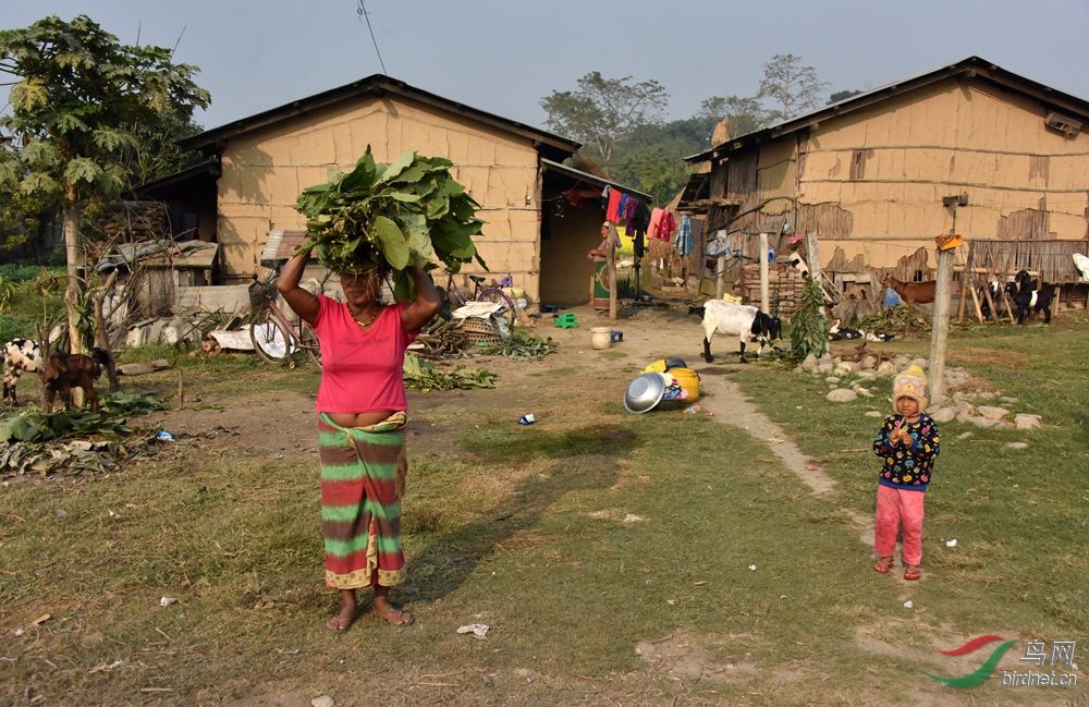 �Ჴ����Ů