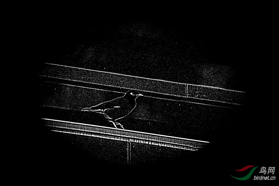 BW6I1297_����_����1_����2_����_����.jpg