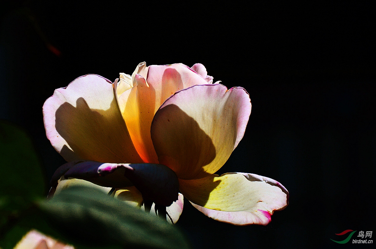 DSC_3451.JPG