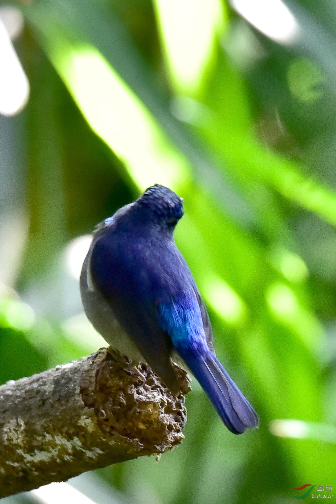 DSC_0532.JPG