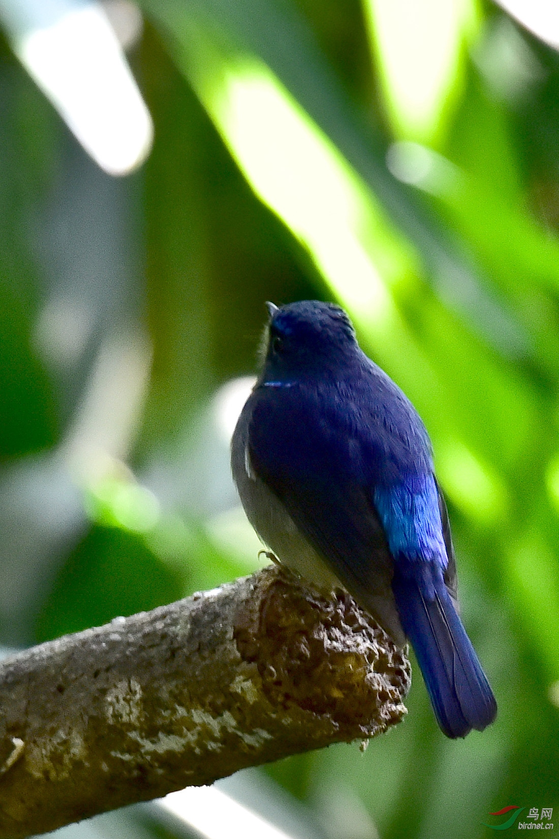 DSC_0534.JPG