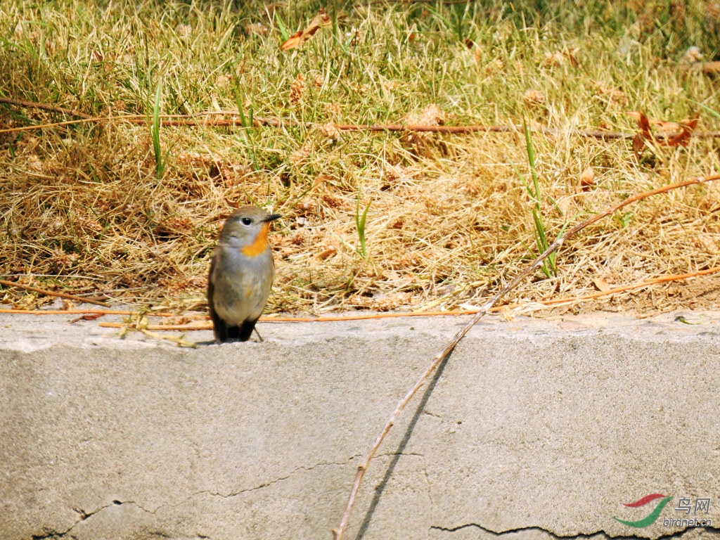 DSCN6053_����.jpg