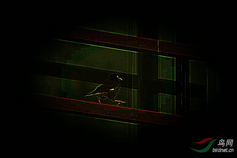 BW6I1314_����_����.jpg