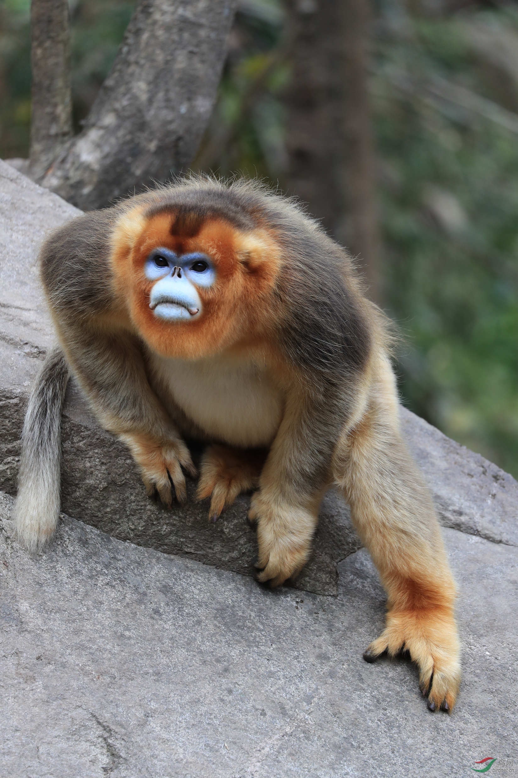 ����˿��