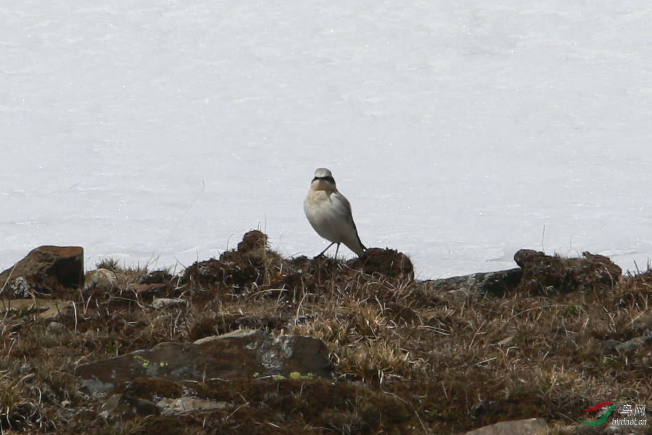 2��6�ǰ׶��S��