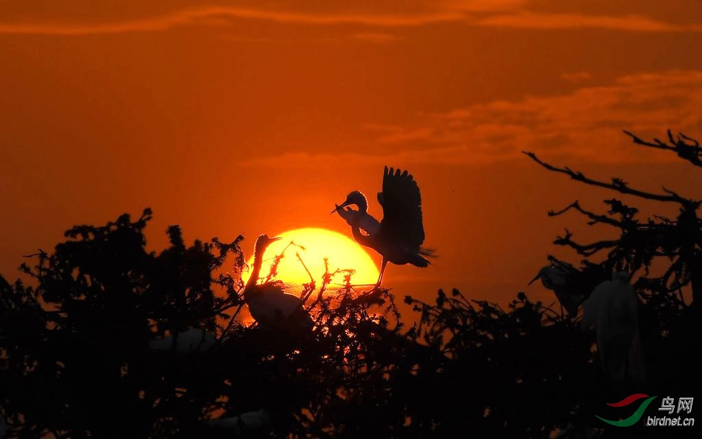 DSC_9339_����.jpg