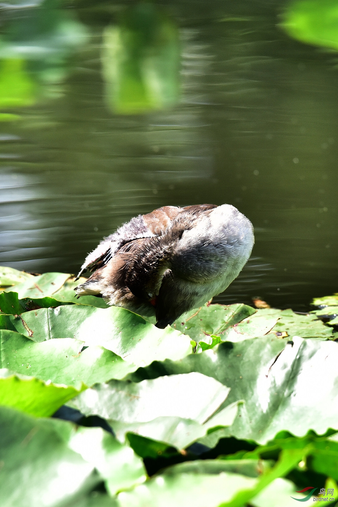 DSC_0940.JPG