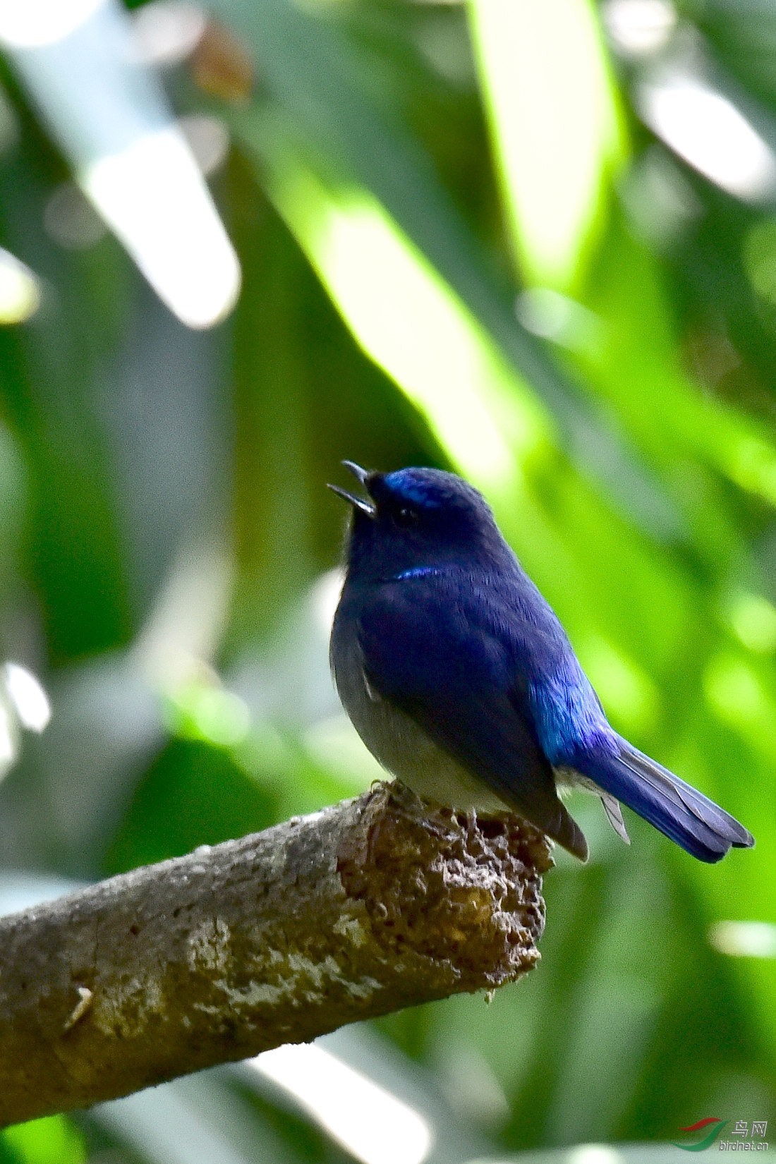 DSC_0537.JPG