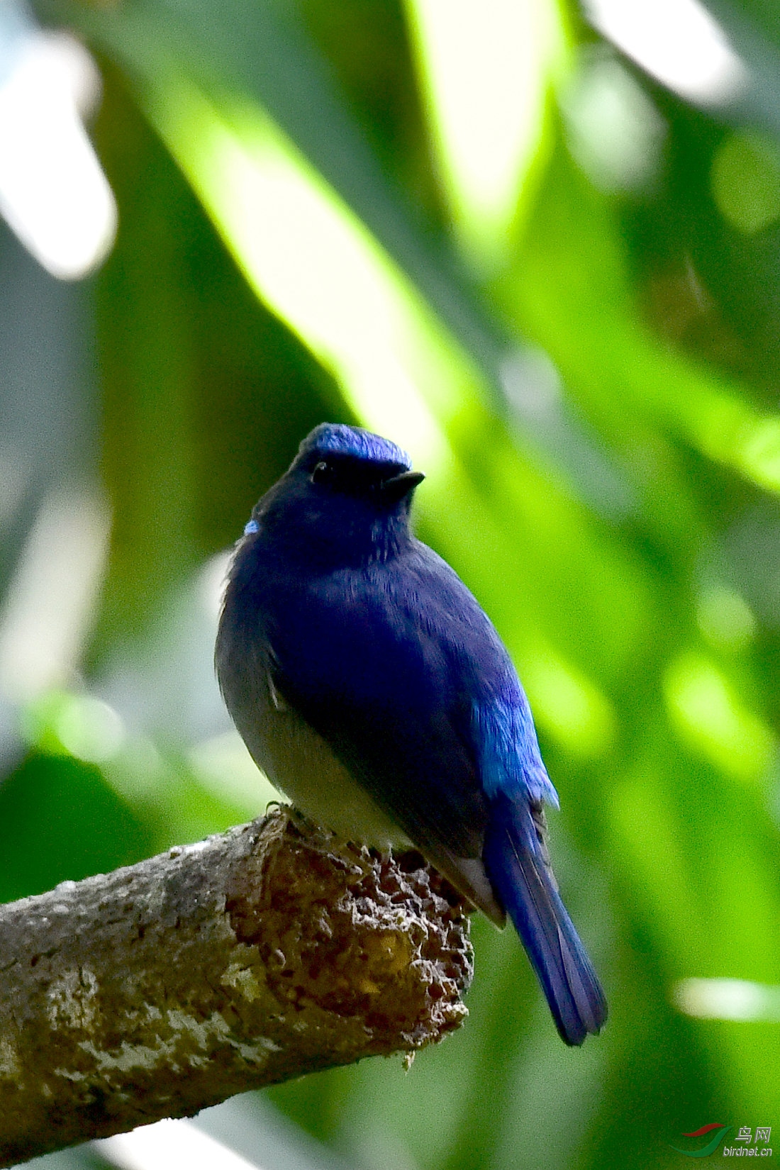 DSC_0540.JPG