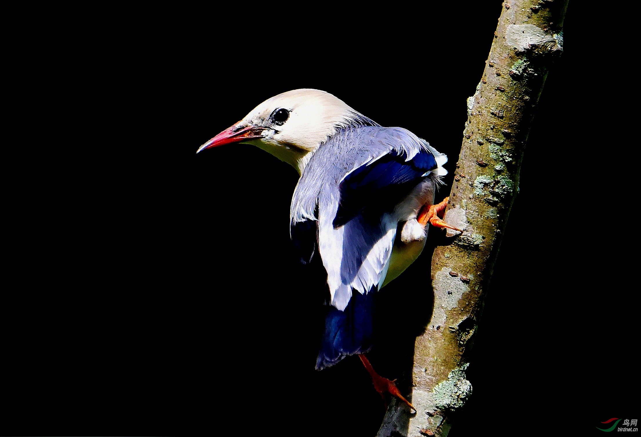 DSC_4256_conew2.jpg