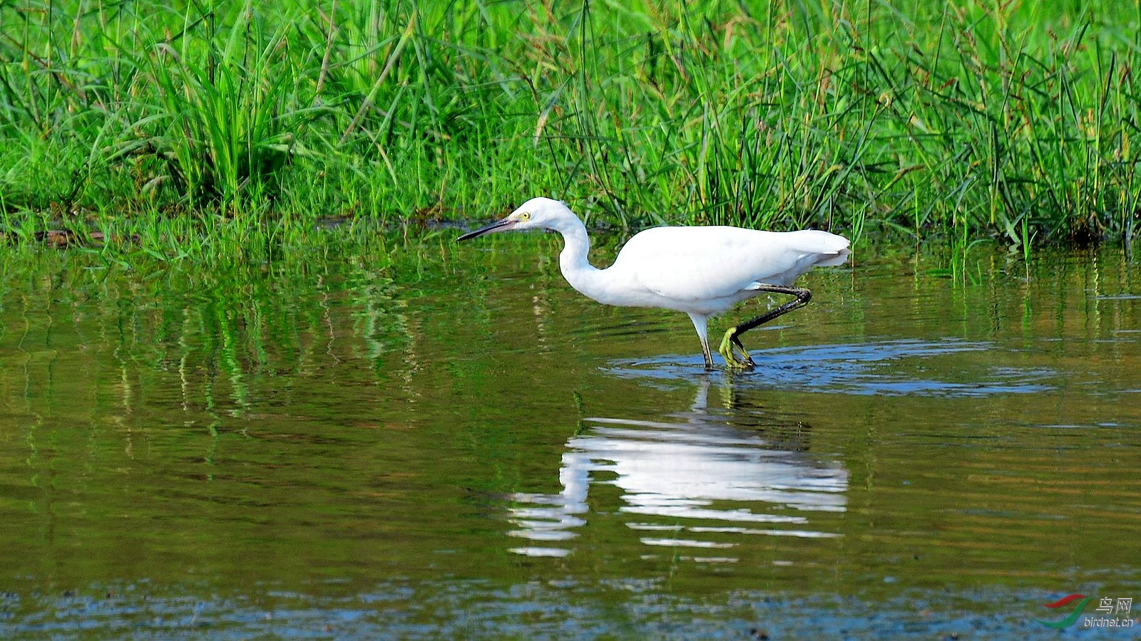 DSC_7155.JPG