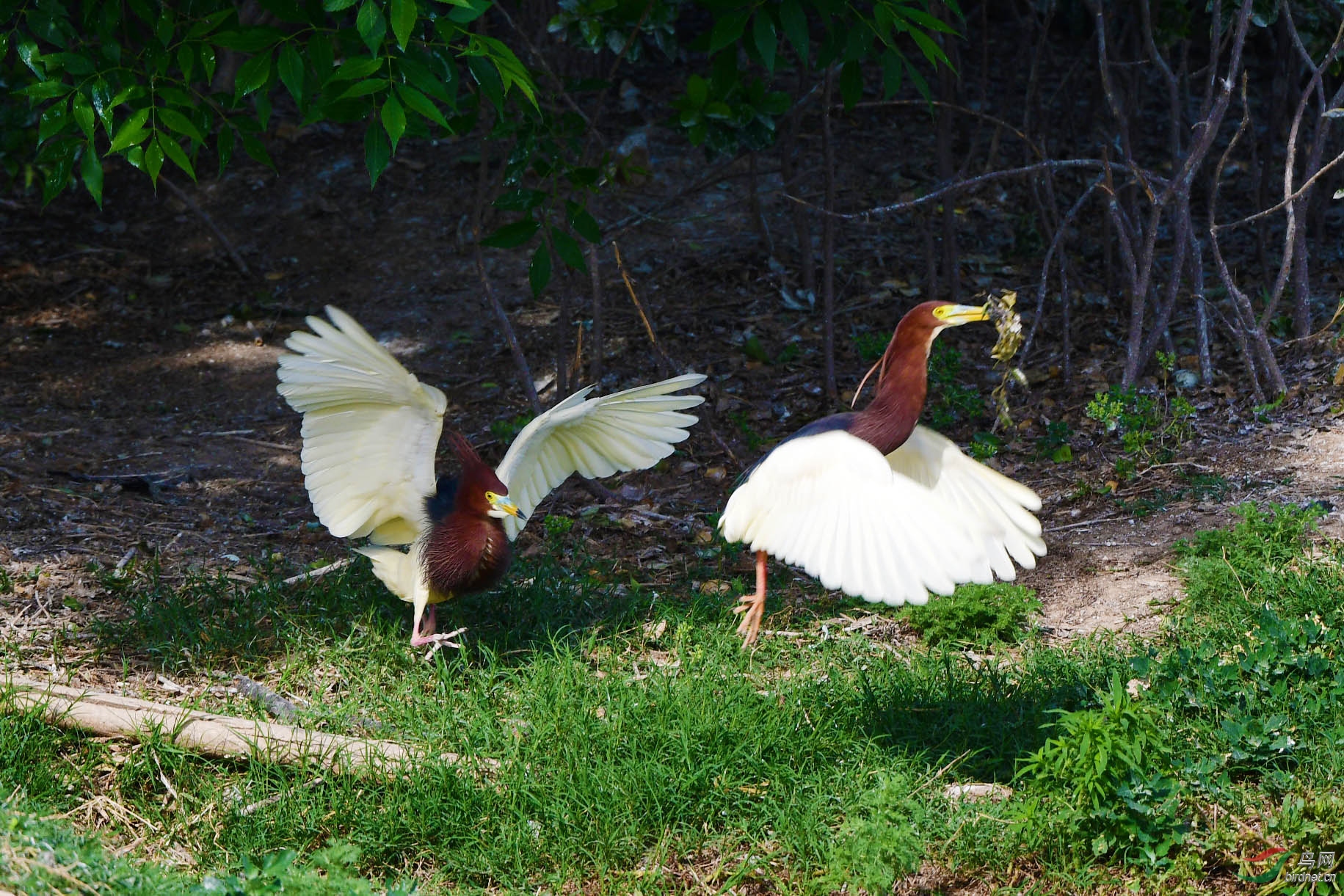 D50_3024.jpg