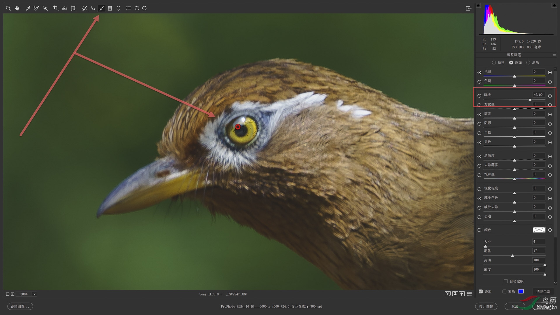 02 �Ŵ�300%�û����������� s.jpg