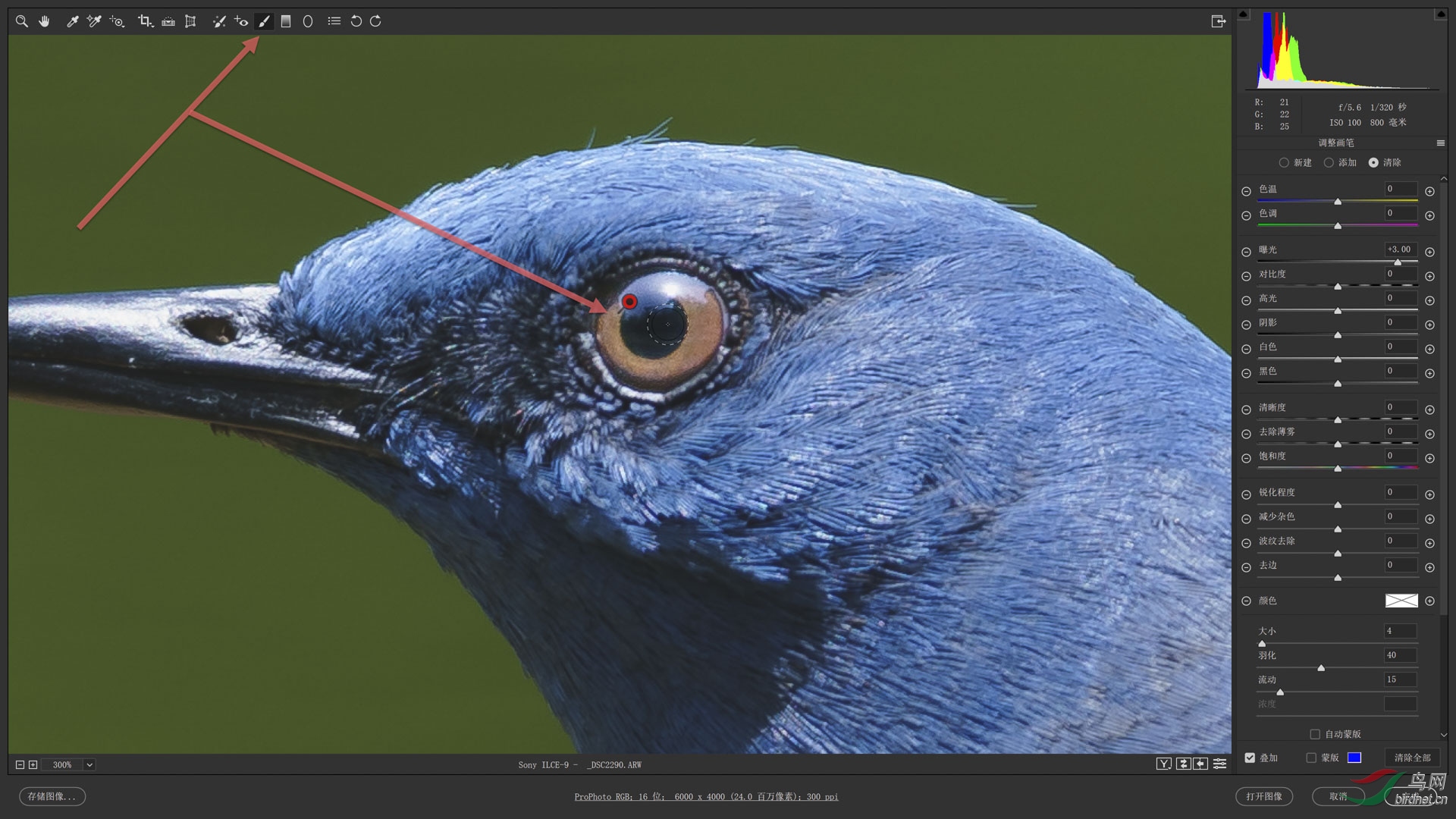 06 �������������Ч�� s.jpg