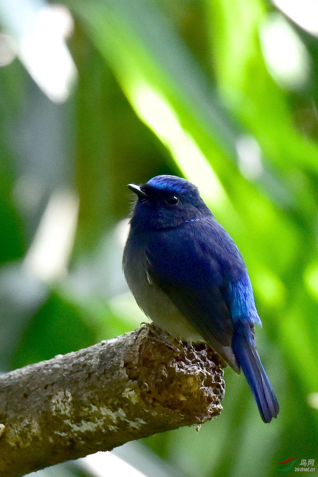 DSC_0541.JPG