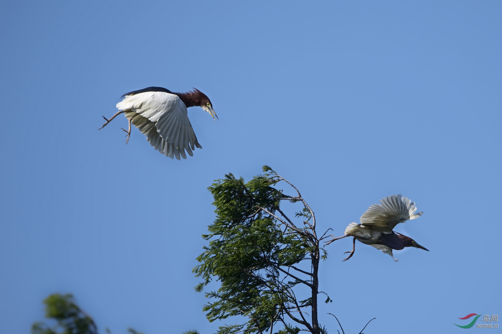 DSC_4048.jpg