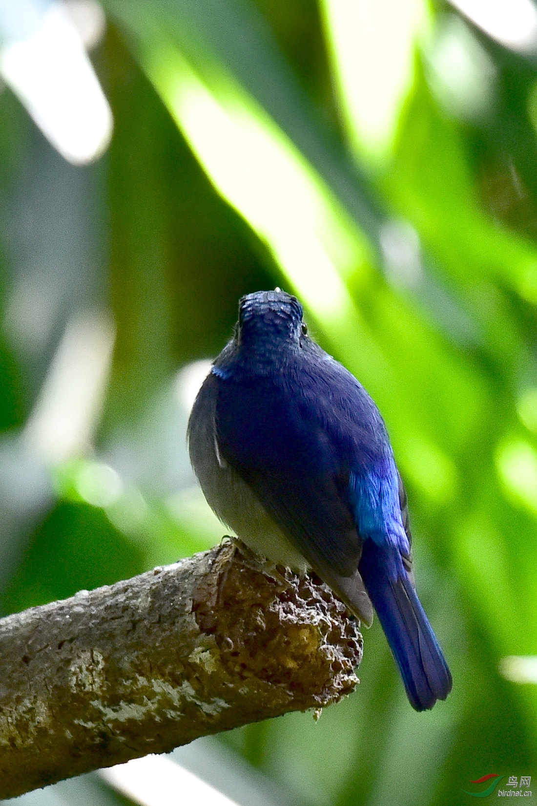 DSC_0545.JPG