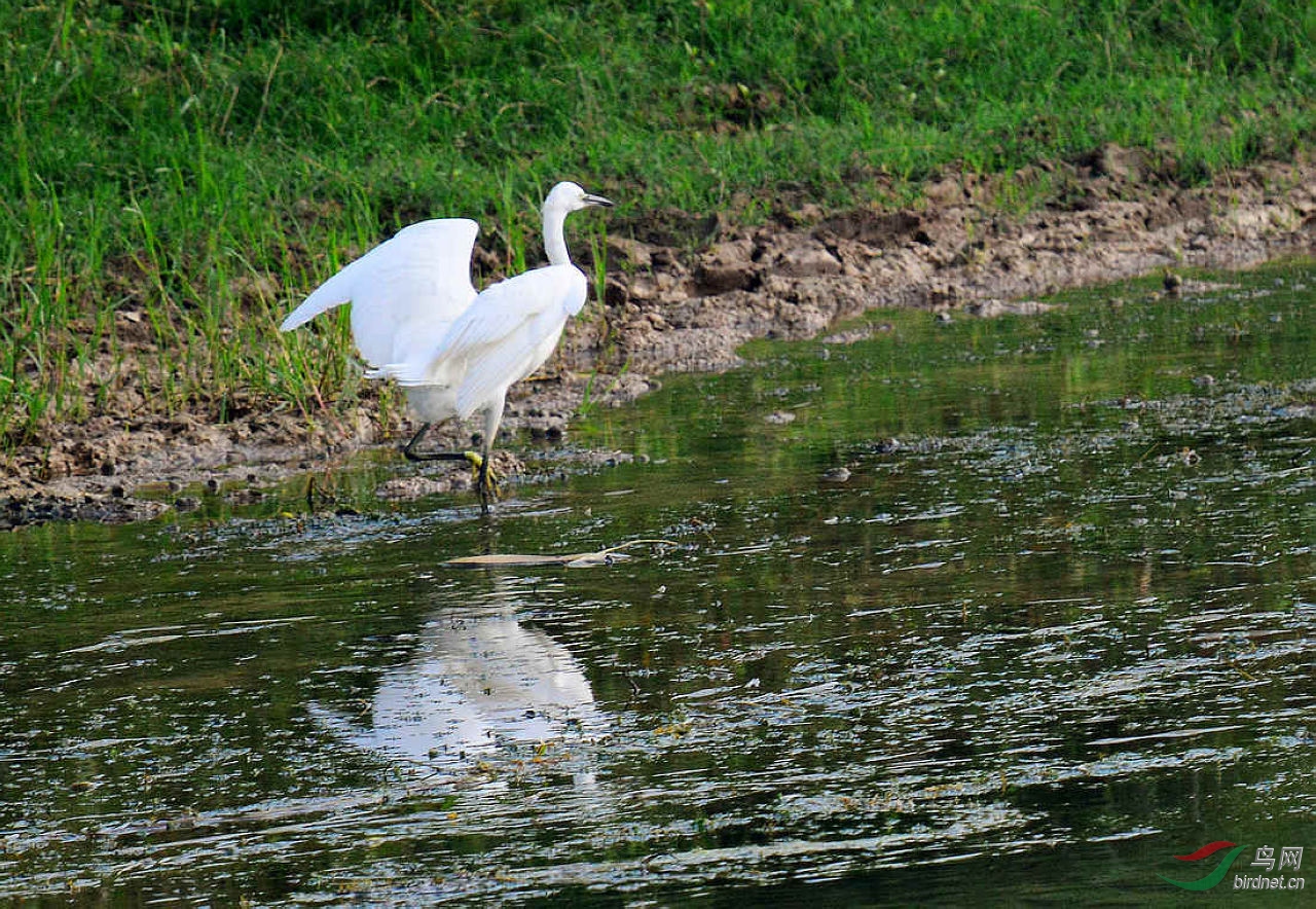 DSC_8147.JPG