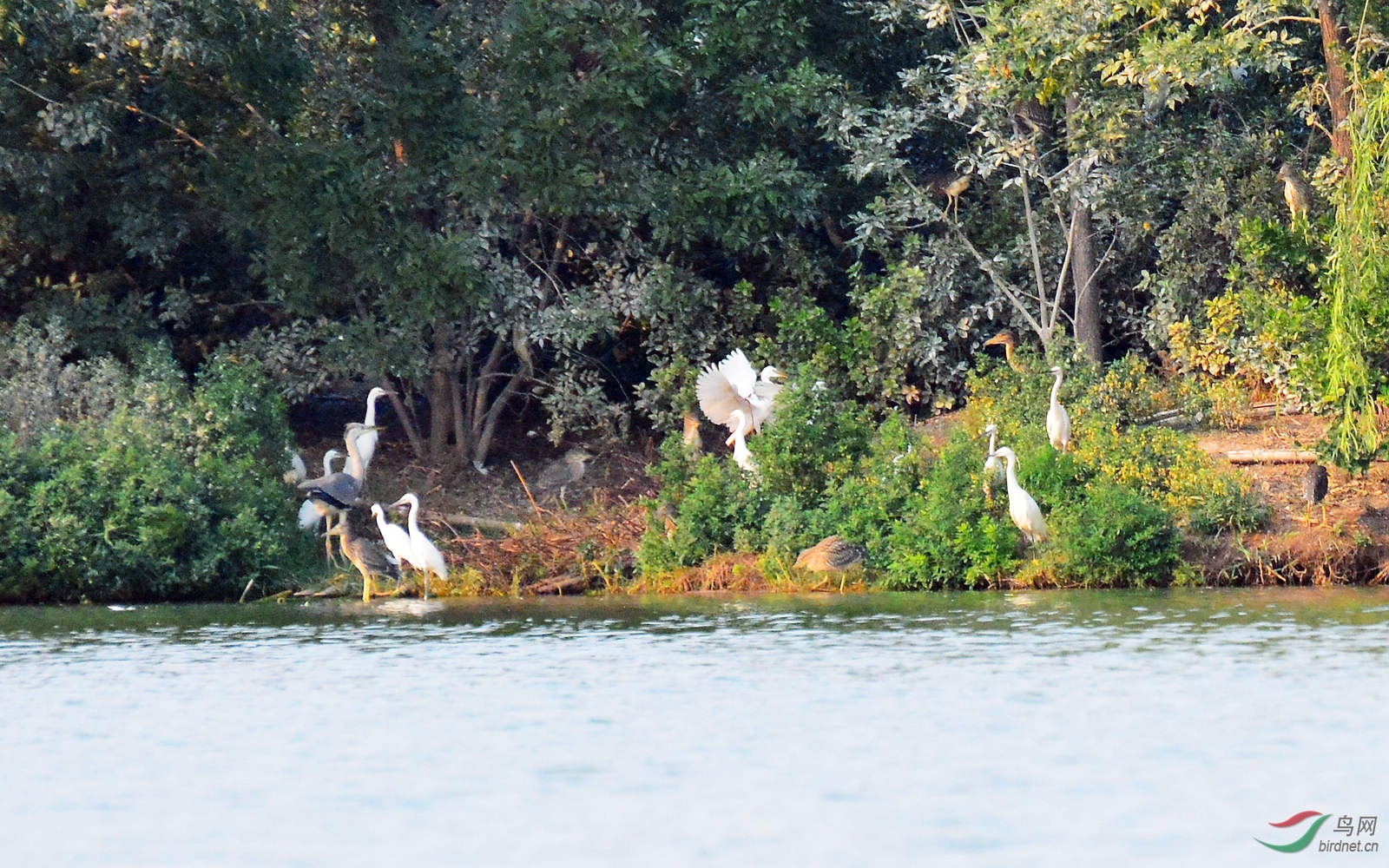 DSC_3717.JPG