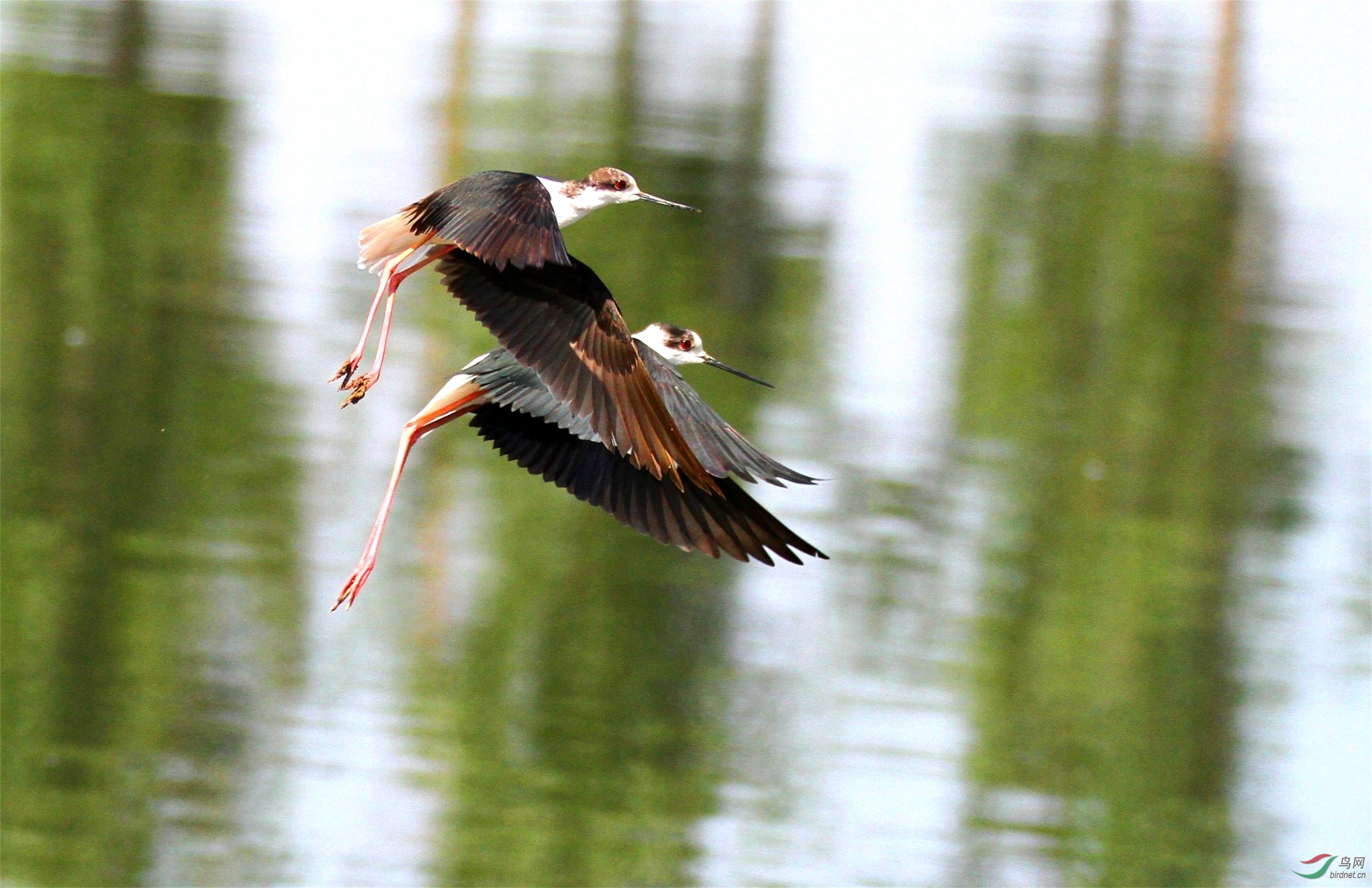 IMG_1699_��ͼ��.jpg