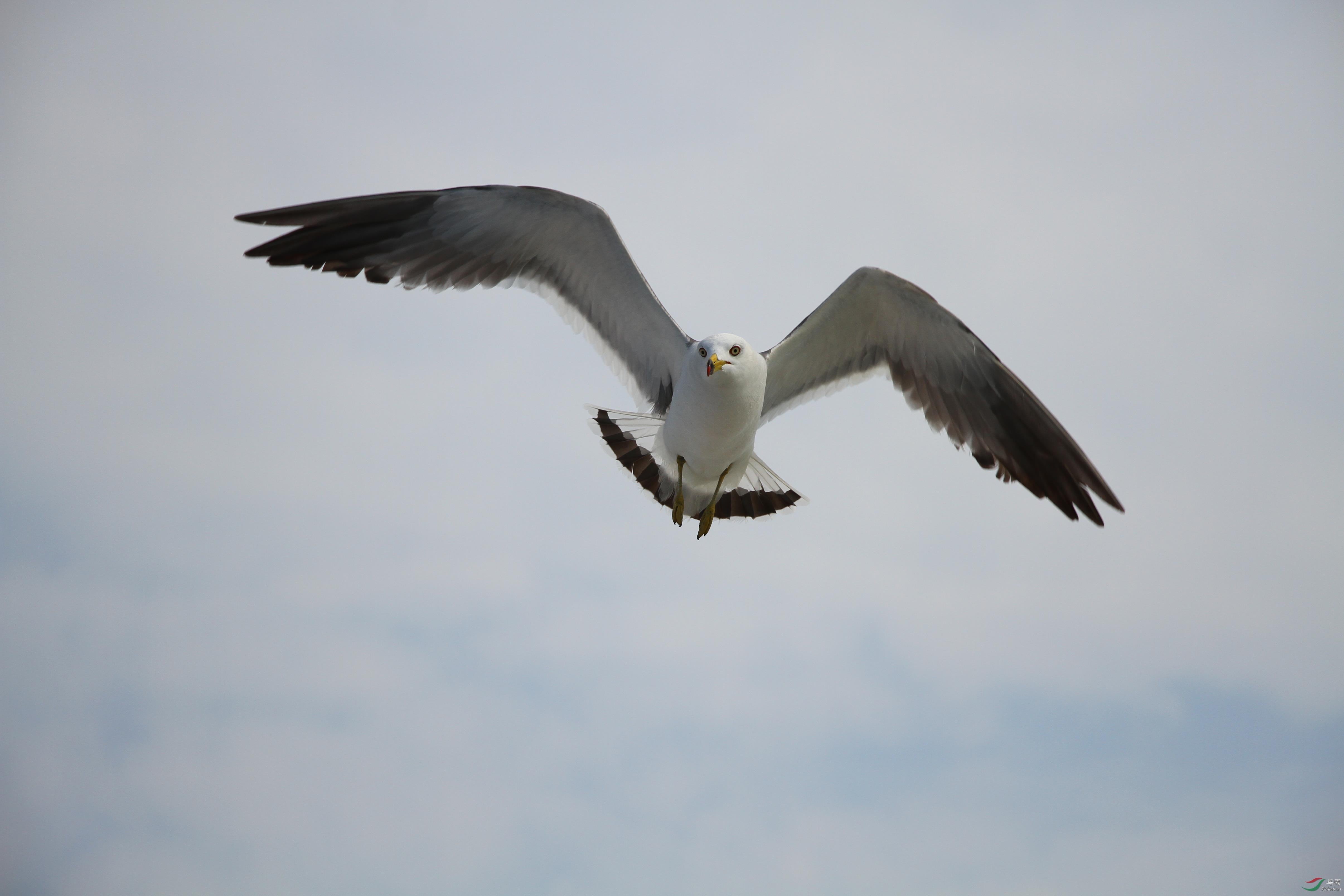 IMG_2166.JPG