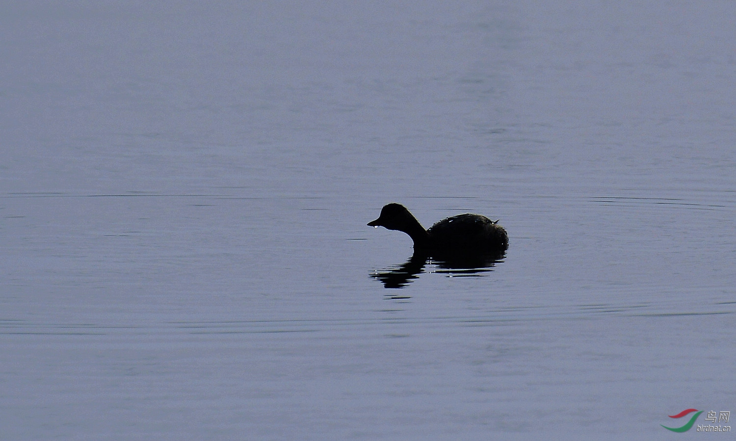 DSC_3017.JPG